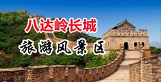 毛茸茸尿尿凸轮中国北京-八达岭长城旅游风景区
