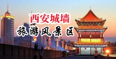 欧美女人玩兽交视频中国陕西-西安城墙旅游风景区