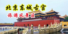 弄骚穴av中国北京-东城古宫旅游风景区